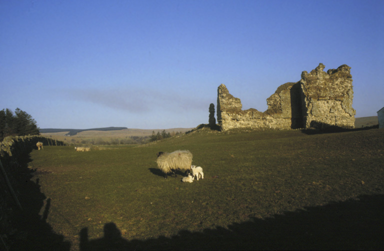Bewcastle Castle, Cumbria